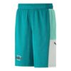 Antrenman Basketbol Şortu “Teal”