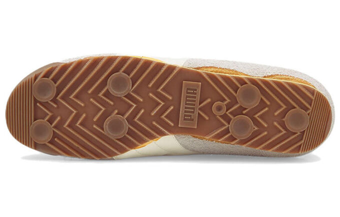 Arizona “Gri Beyaz”