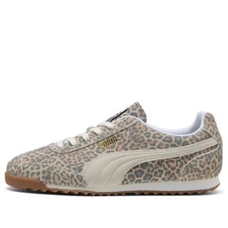 Arizona “Leopar”