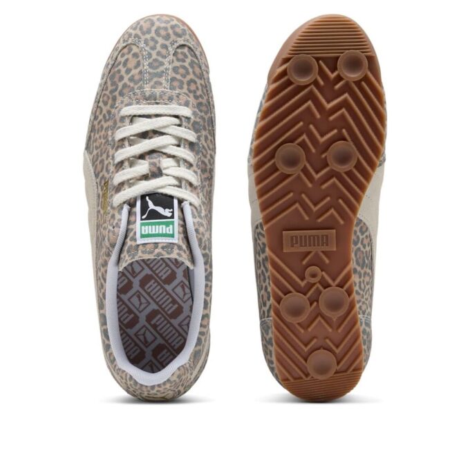 Arizona “Leopar”