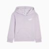 Basics Küçük Çocuk Kapüşonlu Sweatshirt Basics Küçük Çocuk Kapüşonlu Sweatshirt