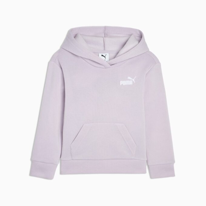 Basics Küçük Çocuk Kapüşonlu Sweatshirt Basics Küçük Çocuk Kapüşonlu Sweatshirt