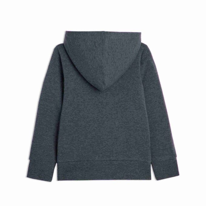Basics Küçük Çocuk Kapüşonlu Sweatshirt Basics Küçük Çocuk Kapüşonlu Sweatshirt
