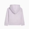 Basics Küçük Çocuk Kapüşonlu Sweatshirt Basics Küçük Çocuk Kapüşonlu Sweatshirt