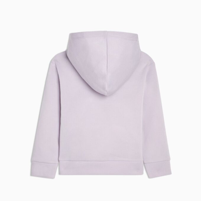 Basics Küçük Çocuk Kapüşonlu Sweatshirt Basics Küçük Çocuk Kapüşonlu Sweatshirt