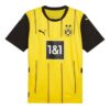 Borussia Dortmund 24/25 İç Saha Forması “Sarı”