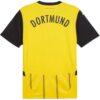 Borussia Dortmund 24/25 İç Saha Forması “Sarı”