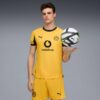 Borussia Dortmund 25/26 Orijinal Kupa Erkek Futbol Forması Borussia Dortmund 25/26 Orijinal Kupa Erkek Futbol Forması