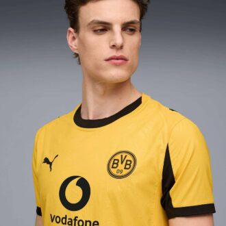 Borussia Dortmund 25/26 Orijinal Kupa Erkek Futbol Forması