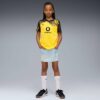 Borussia Dortmund Replica Home 25/26 Büyük Çocuk Futbol Forması Borussia Dortmund Replica Home 25/26 Büyük Çocuk Futbol Forması