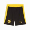 BVB Erkek Futbol Şortu BVB Erkek Futbol Şortu