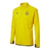 Bvb Isınma Ceketi “Sarı”