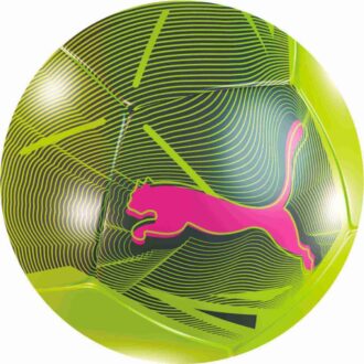 Büyük Kedi Mini Futbol Topu