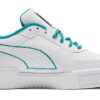 CA Pro “Yeni Miras”