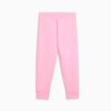 Core Küçük Çocuklar İçin Pamuklu Polar Jogger