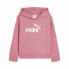 Core No. 1 Logo Küçük Çocuklar İçin Polar Kapüşonlu Sweatshirt