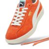Delphin “Sonbahar Yaprakları Buzlu Fildişi”