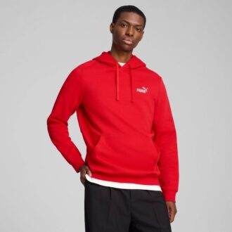 Essentials Erkek Küçük Logolu Kapüşonlu Sweatshirt