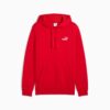 Essentials Erkek Küçük Logolu Kapüşonlu Sweatshirt Essentials Erkek Küçük Logolu Kapüşonlu Sweatshirt