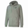 Essentials Küçük Logo Erkek Kapüşonlu Sweatshirt Essentials Küçük Logo Erkek Kapüşonlu Sweatshirt