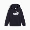 Essentials Küçük Çocuklar İçin Polar Kapüşonlu Sweatshirt