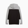 Essentials Renk Bloklu Erkek Kapüşonlu Sweatshirt Essentials Renk Bloklu Erkek Kapüşonlu Sweatshirt