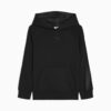 Essentials Saten Büyük Çocuklar İçin Polar Kapüşonlu Sweatshirt Essentials Saten Büyük Çocuklar İçin Polar Kapüşonlu Sweatshirt
