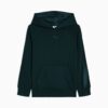 Essentials Saten Küçük Çocuklar İçin Polar Kapüşonlu Sweatshirt