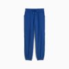 Essentials Saten Kadın Jogger Pantolon Essentials Saten Kadın Jogger Pantolon