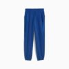 Essentials Saten Kadın Jogger Pantolon Essentials Saten Kadın Jogger Pantolon