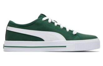 Ever Fs Cv “Yeşil”