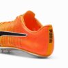 evoSPEED BRUSH 6 Atletizm Sprint Ayakkabıları evoSPEED BRUSH 6 Atletizm Sprint Ayakkabıları