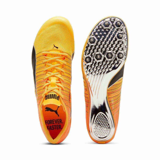 evoSPEED BRUSH 6 Atletizm Sprint Ayakkabıları evoSPEED BRUSH 6 Atletizm Sprint Ayakkabıları