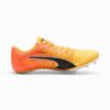 evoSPEED BRUSH 6 Atletizm Sprint Ayakkabıları evoSPEED BRUSH 6 Atletizm Sprint Ayakkabıları