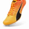 evoSPEED BRUSH 6 Atletizm Sprint Ayakkabıları evoSPEED BRUSH 6 Atletizm Sprint Ayakkabıları