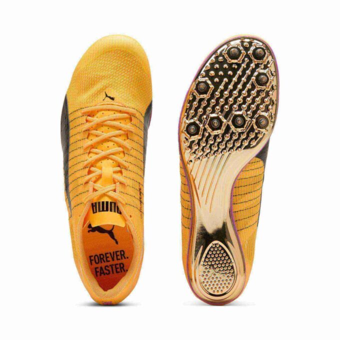 evoSPEED Brush 6 Pist ve Saha Koşu Ayakkabıları evoSPEED Brush 6 Pist ve Saha Koşu Ayakkabıları