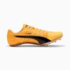 evoSPEED Brush 6 Pist ve Saha Koşu Ayakkabıları evoSPEED Brush 6 Pist ve Saha Koşu Ayakkabıları