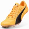 evoSPEED Brush 6 Pist ve Saha Koşu Ayakkabıları evoSPEED Brush 6 Pist ve Saha Koşu Ayakkabıları