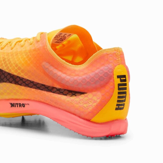 evoSPEED Distance NITRO™ Elite+ 4 Erkek Atletizm Mesafe Ayakkabıları evoSPEED Distance NITRO™ Elite+ 4 Erkek Atletizm Mesafe Ayakkabıları
