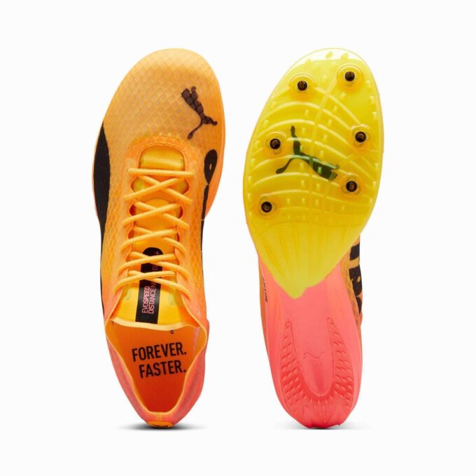 evoSPEED Distance NITRO™ Elite+ 4 Erkek Atletizm Mesafe Ayakkabıları evoSPEED Distance NITRO™ Elite+ 4 Erkek Atletizm Mesafe Ayakkabıları