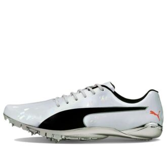 evoSPEED Electric 10 “Gri”