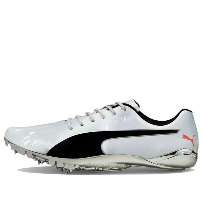 evoSPEED Electric 10 “Gri”