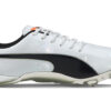 evoSPEED Electric 10 “Gri”