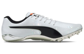 evoSPEED Electric 10 “Gri”