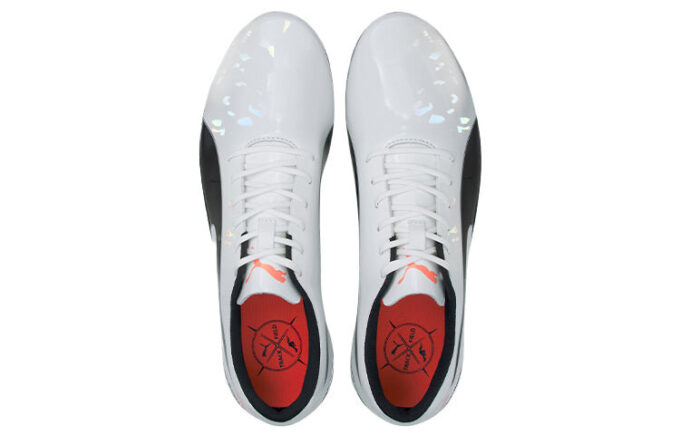 evoSPEED Electric 10 “Gri”