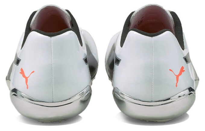 evoSPEED Electric 10 “Gri”