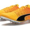evoSpeed  Fırça 6 “Sun Stream Siyah”