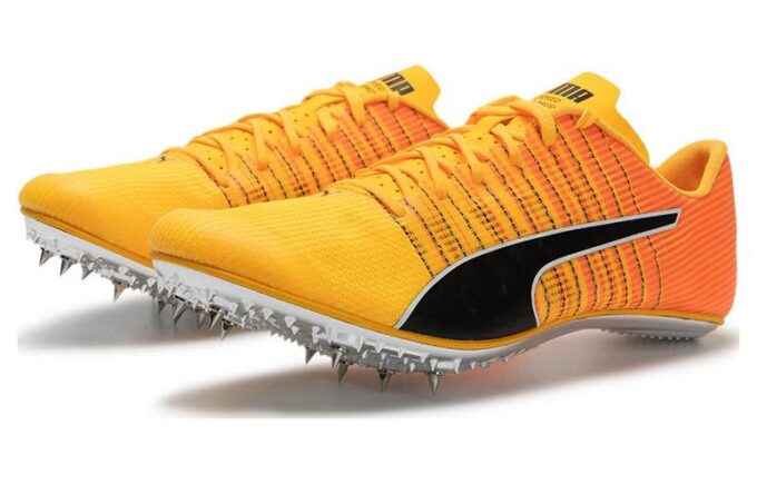 evoSpeed  Fırça 6 “Sun Stream Siyah”