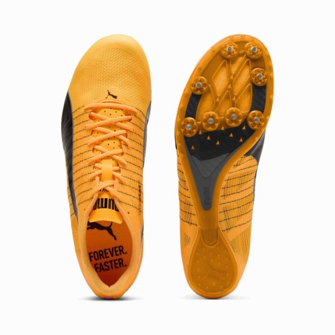 evoSPEED Future 6 Pist ve Saha Koşu Ayakkabıları evoSPEED Future 6 Pist ve Saha Koşu Ayakkabıları
