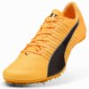evoSPEED Future 6 Pist ve Saha Koşu Ayakkabıları evoSPEED Future 6 Pist ve Saha Koşu Ayakkabıları